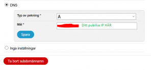 lägg till en DNS pekare med ett A records till ditt publika IP